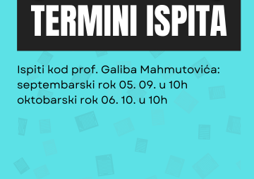 Dodatni termini